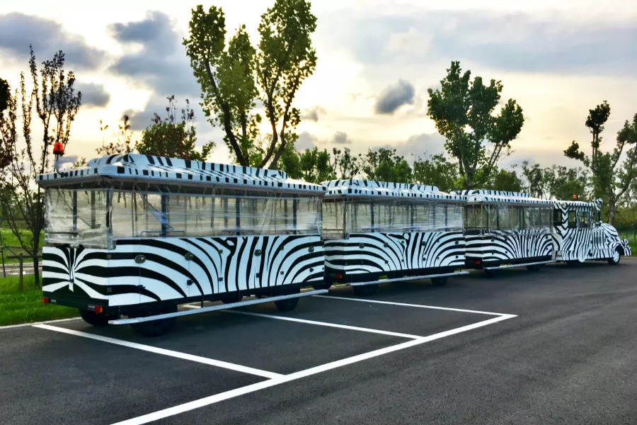 听说没！南通森林野生动物园车行区已经有一波动物抢先入住！