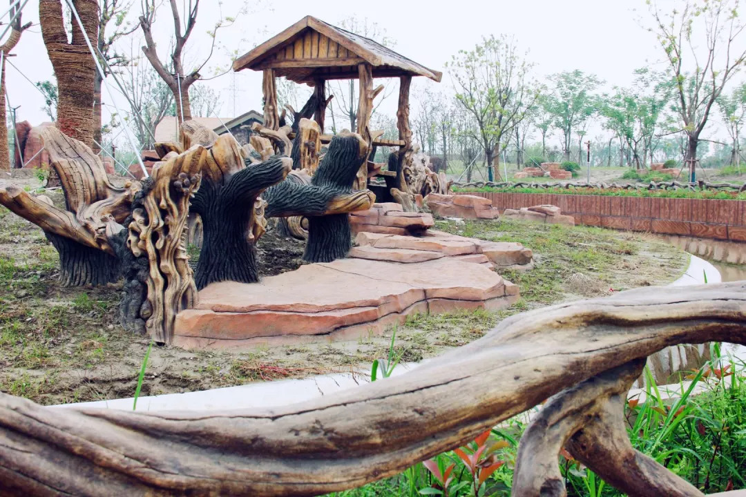 听说没！南通森林野生动物园车行区已经有一波动物抢先入住！