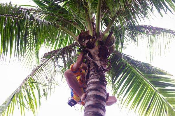 三亚千古情景区游玩攻略图片大全,三亚千古情旅游详细攻略