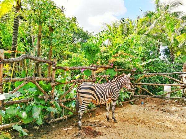 三亚千古情景区游玩攻略图片大全,三亚千古情旅游详细攻略