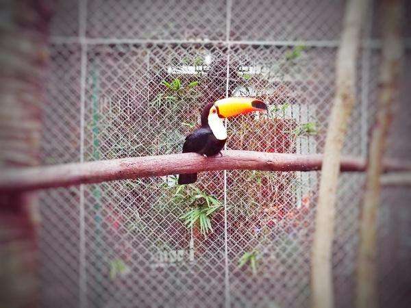 三亚千古情景区游玩攻略图片大全,三亚千古情旅游详细攻略