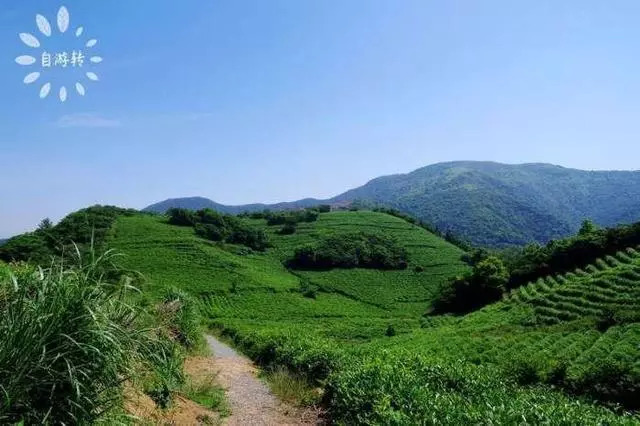 宁波北仑太白山游步道攻略,北仑区最适合徒步的风景区