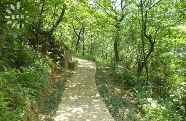 宁波北仑太白山游步道攻略,北仑区最适合徒步的风景区