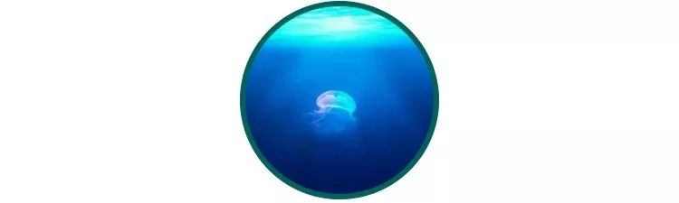 大宝sod蜜是不是很好,9块9三瓶大宝sod蜜是正品吗