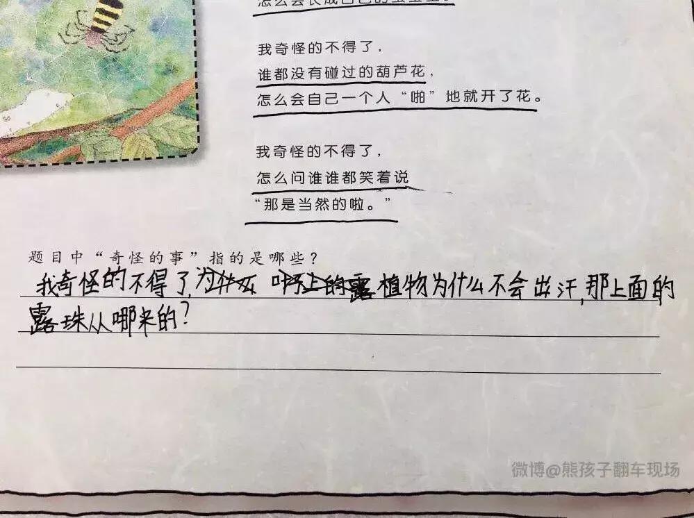 同样九年义务教育为何你如此优秀,都是九年义务教育为何你如此优秀