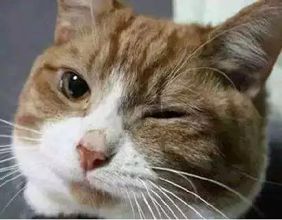 河南省技术力量最强的医院排名,厉害了广东医院影响力排行出炉