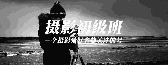 拍鸟技巧,拍鸟的技巧