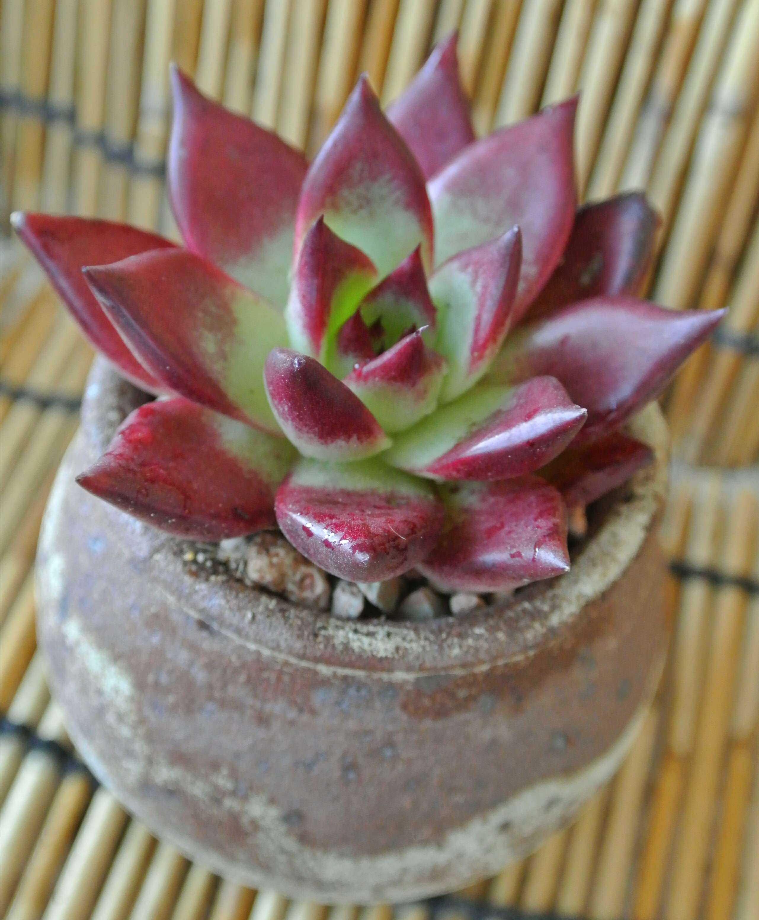 慢生活完整,慢生活轻悦读