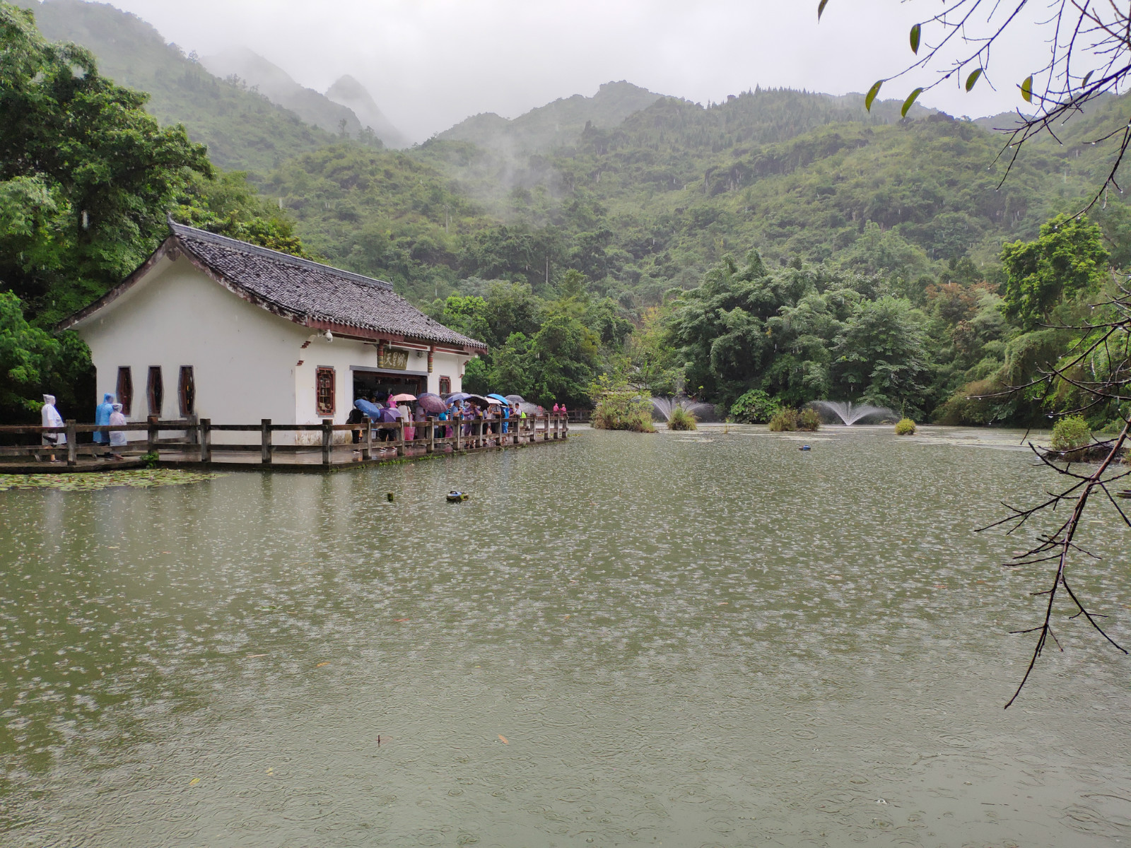 贵州大瀑布免费景区,贵州大瀑布游玩攻略