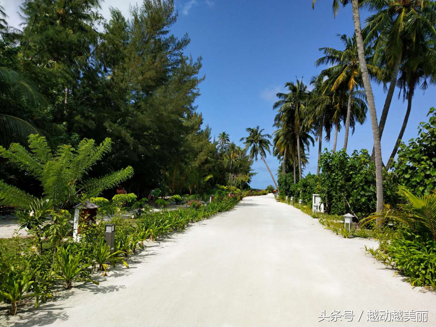 马尔代夫哪个岛浮潜最佳推荐,夏日全民旅行记海滩