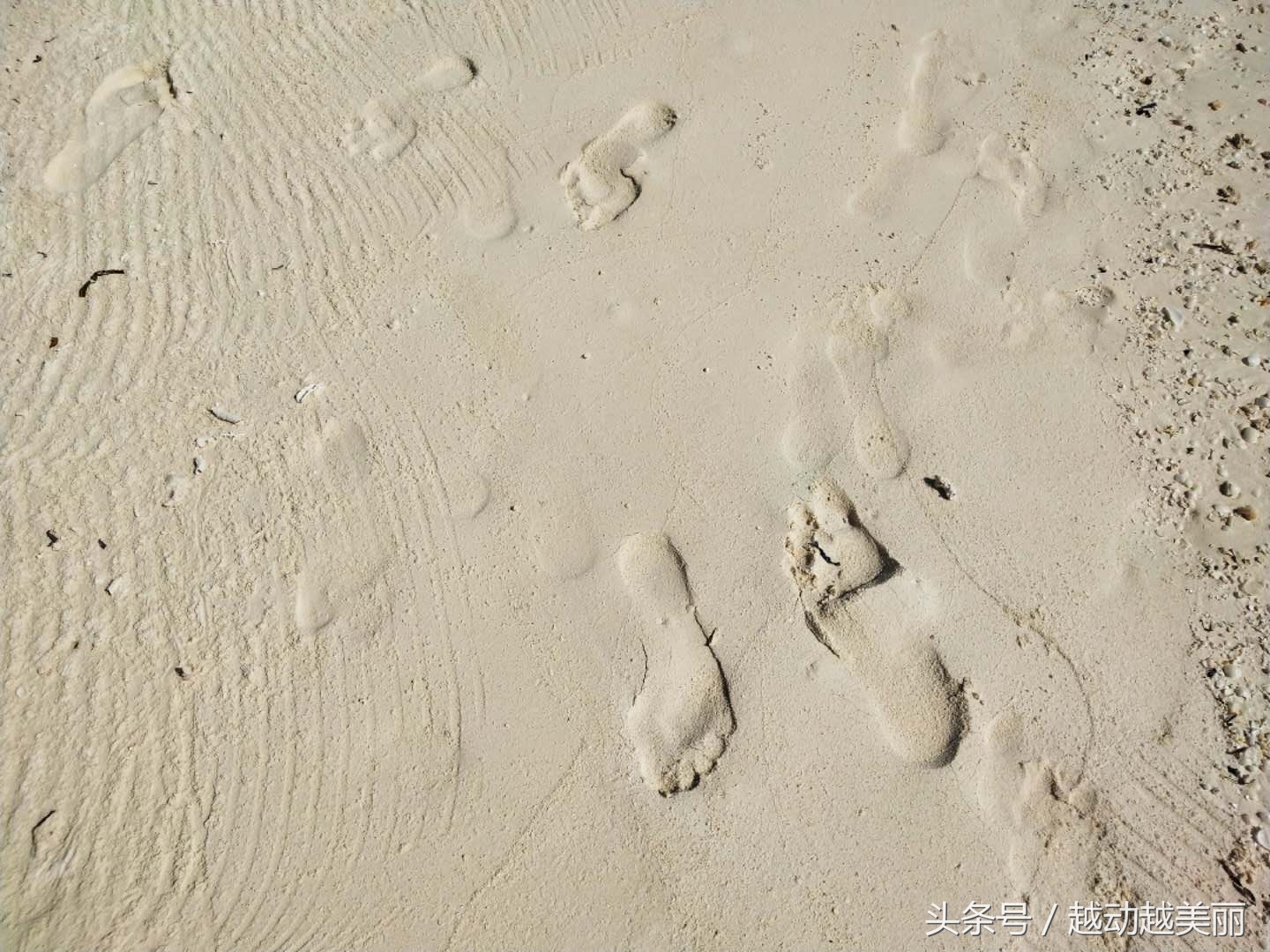 马尔代夫哪个岛浮潜最佳推荐,夏日全民旅行记海滩