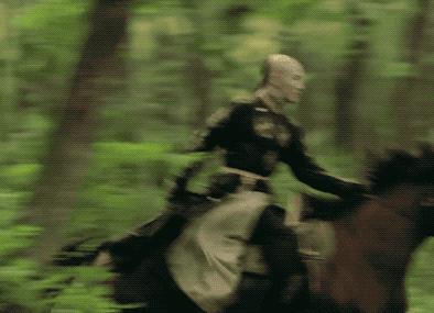 大猪蹄子,你还会再飘吗?