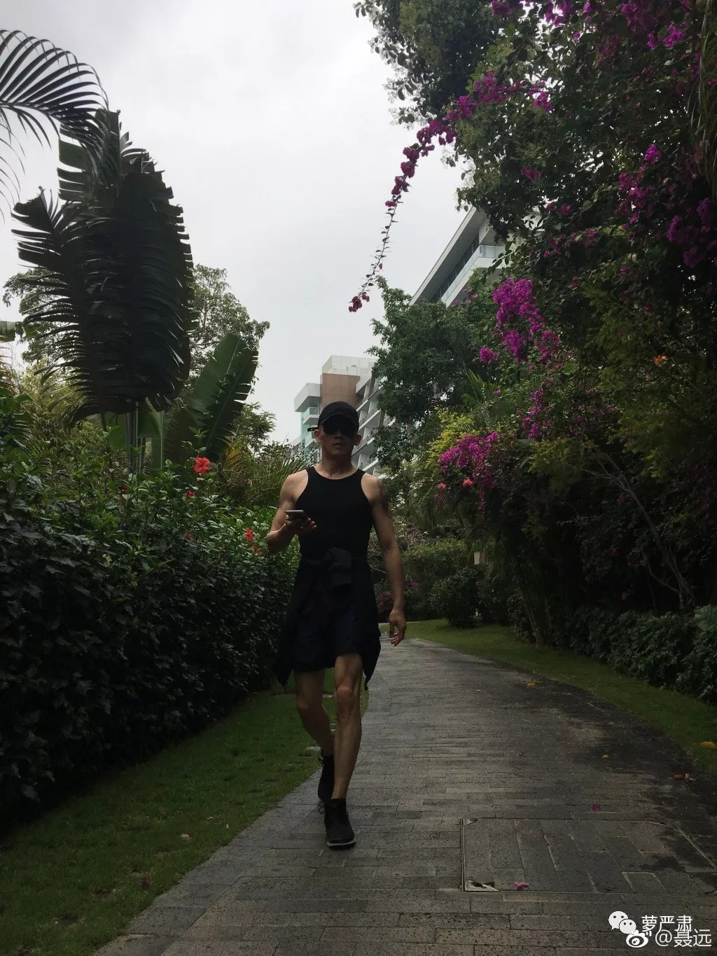 大猪蹄子,你还会再飘吗?