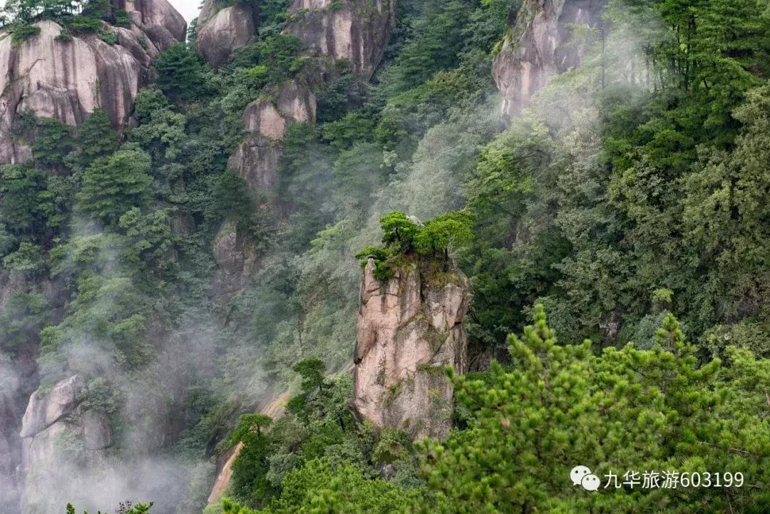 哪些证件可以免费游九华山,九华山特价旅游