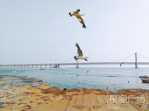顾影的流水账1：合肥~大连~海拉尔