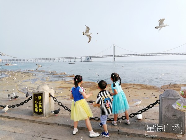 顾影的流水账1：合肥~大连~海拉尔