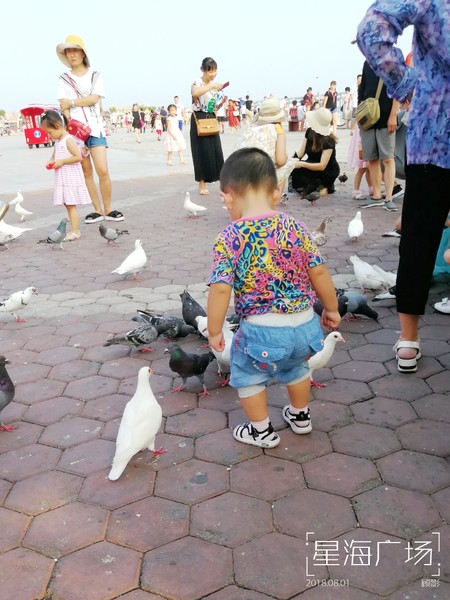 顾影的流水账1：合肥~大连~海拉尔