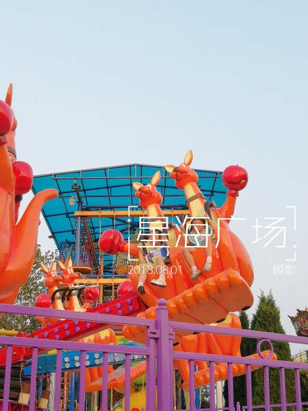 顾影的流水账1：合肥~大连~海拉尔