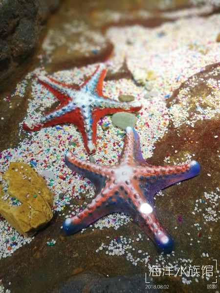 顾影的流水账1：合肥~大连~海拉尔