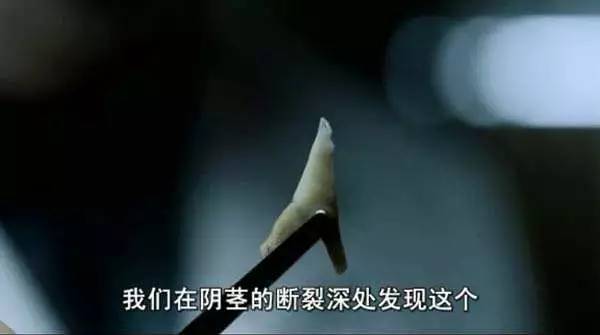 中国关于猫的鬼怪传说,被人遗忘的灵异故事