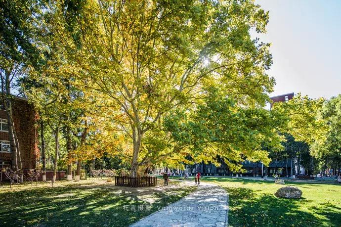 天津市区旅游景点大全集地图,天津超全游玩攻略懒人自取