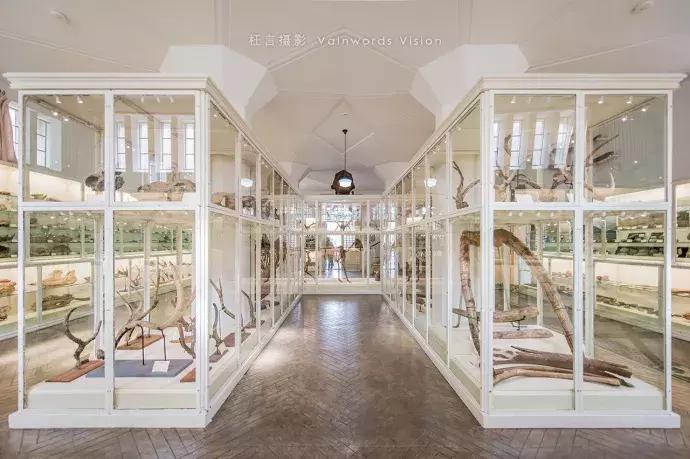 天津市区旅游景点大全集地图,天津超全游玩攻略懒人自取