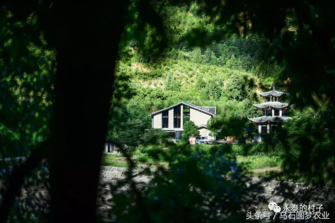 乡村振兴全媒体运营邀请函,乡村振兴访谈邀请函