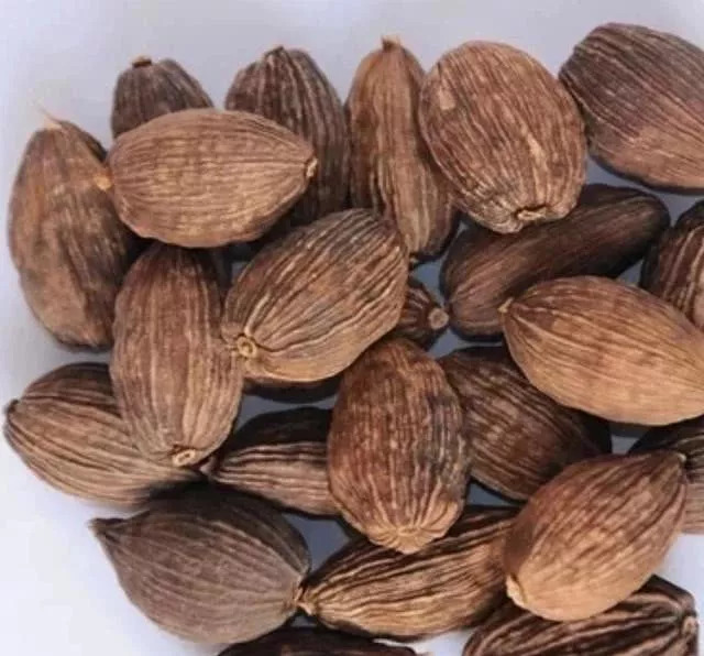 手把手教你们开卤菜店,新手怎么开卤菜店才能一炮而红