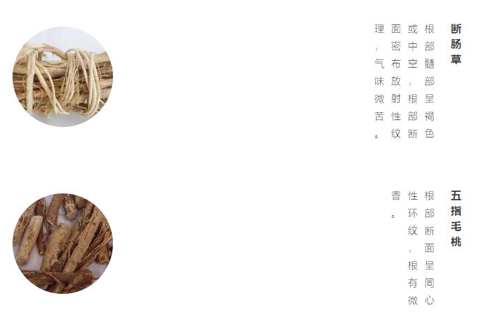 什么绿叶菜适合宝宝吃,最适合宝宝吃的绿叶菜