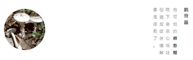 什么绿叶菜适合宝宝吃,最适合宝宝吃的绿叶菜