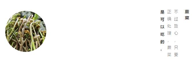 什么绿叶菜适合宝宝吃,最适合宝宝吃的绿叶菜