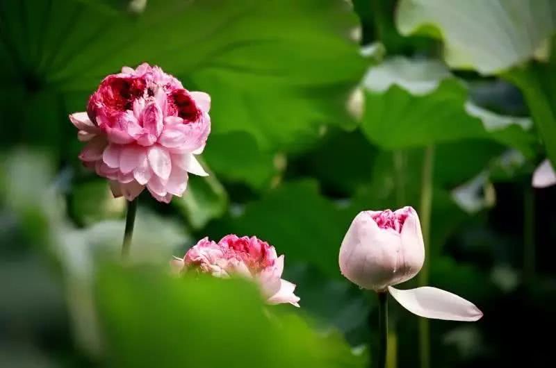 你以为的昆山和真实昆山,关于昆山最新消息