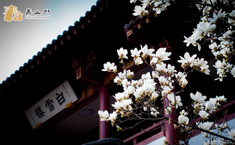 四大名楼松鹤楼,四大名楼之首图片