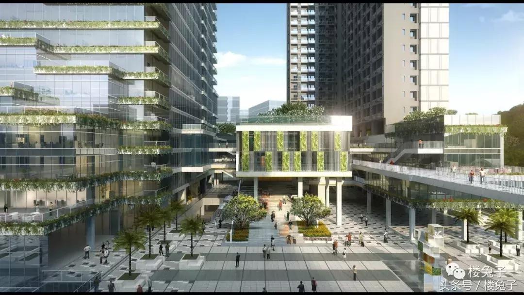 爆料！宝安区要在西乡搞大动作！