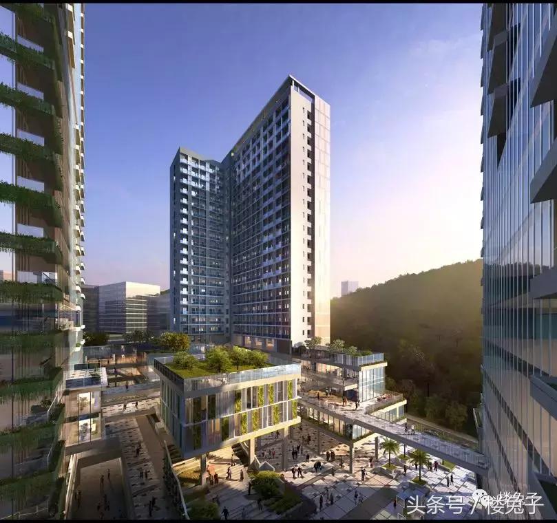 爆料！宝安区要在西乡搞大动作！