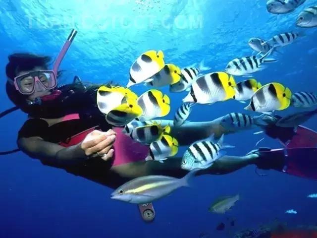 必须去沙巴的十个理由,去沙巴旅游的原因