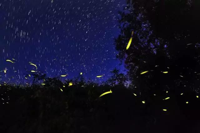 必须去沙巴的十个理由,去沙巴旅游的原因