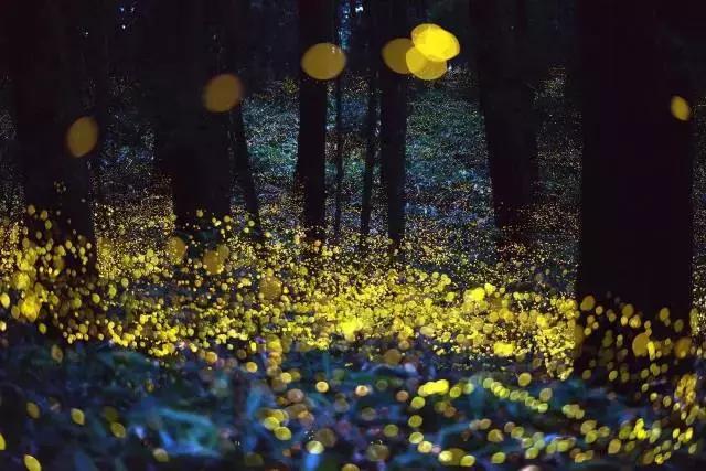 必须去沙巴的十个理由,去沙巴旅游的原因