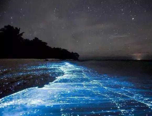 必须去沙巴的十个理由,去沙巴旅游的原因