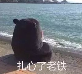 肌肤未来377美白精华,羊胎素美白补水保湿精华