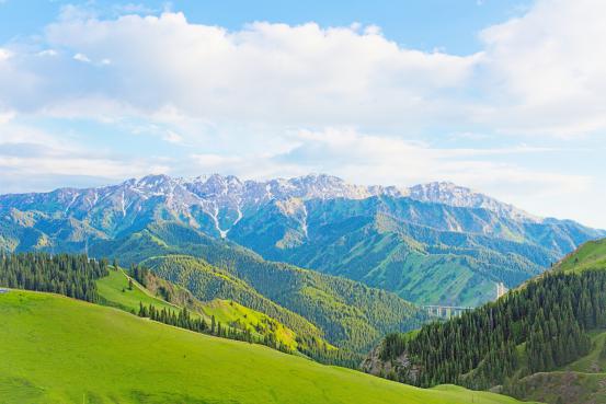 洋甘菊真皙,真皙洋甘菊护肤乳