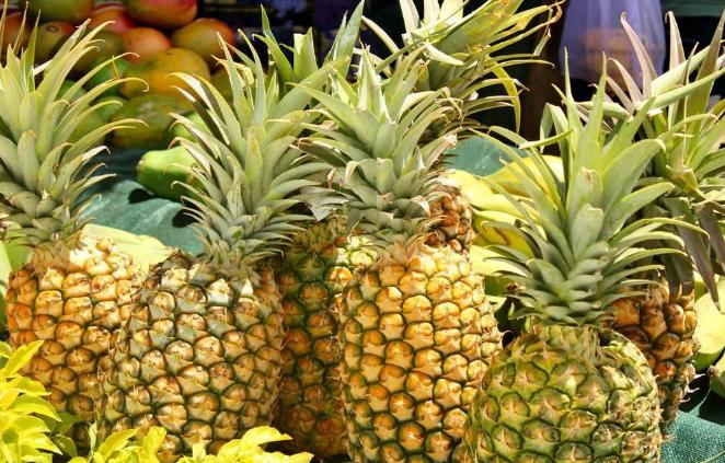 柠檬和菠萝能除甲醛吗,甲醛克星水果