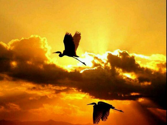 心灵操控、脑控与运用方式，学会不要用来做坏事哦！