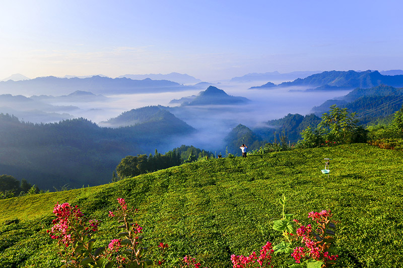 利川凉城旅游景点大全,利川被誉为什么之都