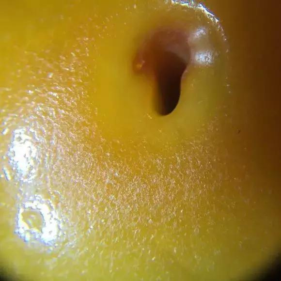 关于蜜蜡里的冰片,蜜蜡的种类和档次