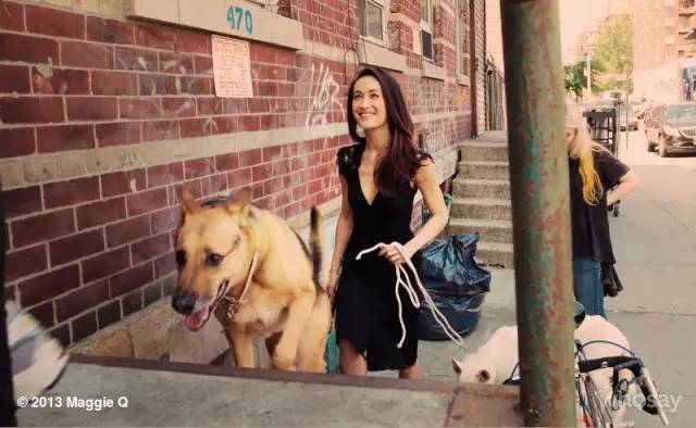 周一请吃素｜坚持吃素七年，四十多岁看起来还像二十岁？