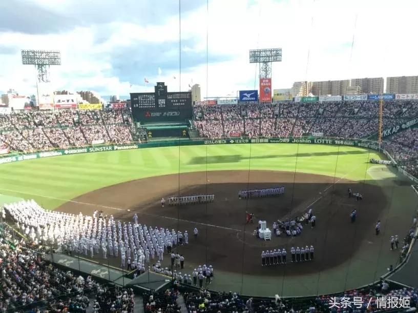 灌篮高手80后的经典青春回忆,灌篮高手第二年视频