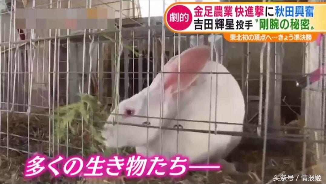 灌篮高手80后的经典青春回忆,灌篮高手第二年视频