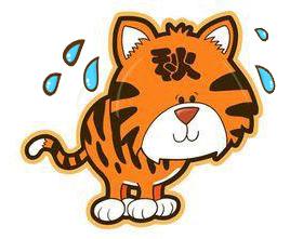 珍惜这周！出门带它！“秋老虎”很快到义乌！