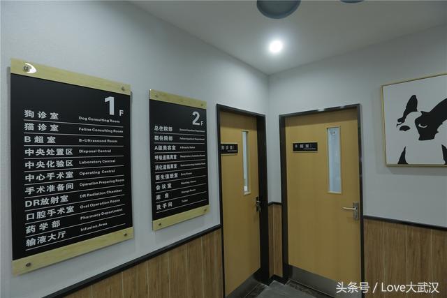 爱宠宠物医院服务中心,爱宠宠物医疗中心